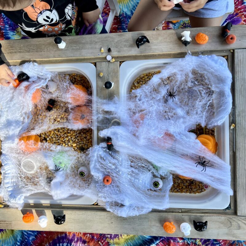 A sensory table filled with dried corn and draped with a spider web. Pumpkins, cats, skeletons, and ghosts scatted throughout and some spiders in the web. Two kids hands playing within the table.