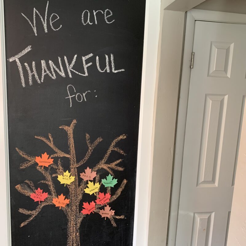 A chalkboard wall with a tree and the words "We are Thankful for" with colorful leaves on the tree with words of gratitude.