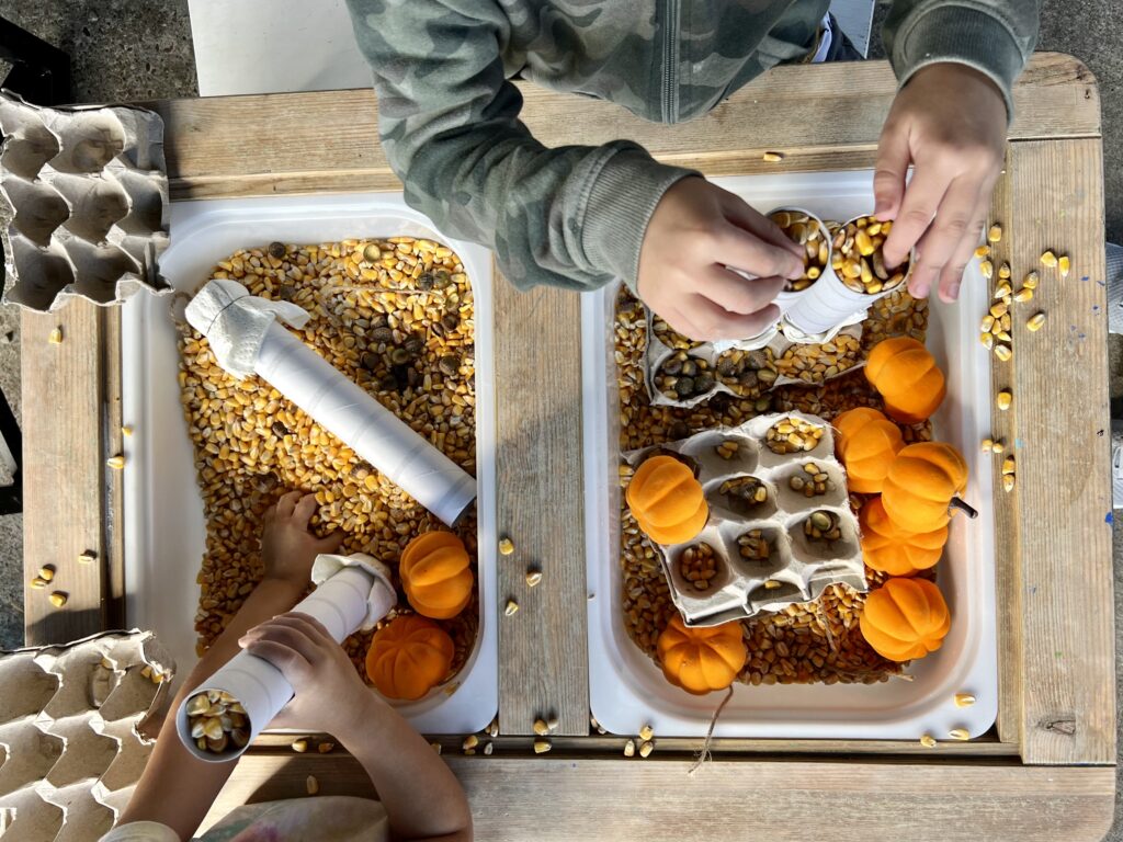 Two sets of children's hands, playing with corn kernels in a fall themed sensory bin. Using simple tools including egg cartons and paper towel rolls.