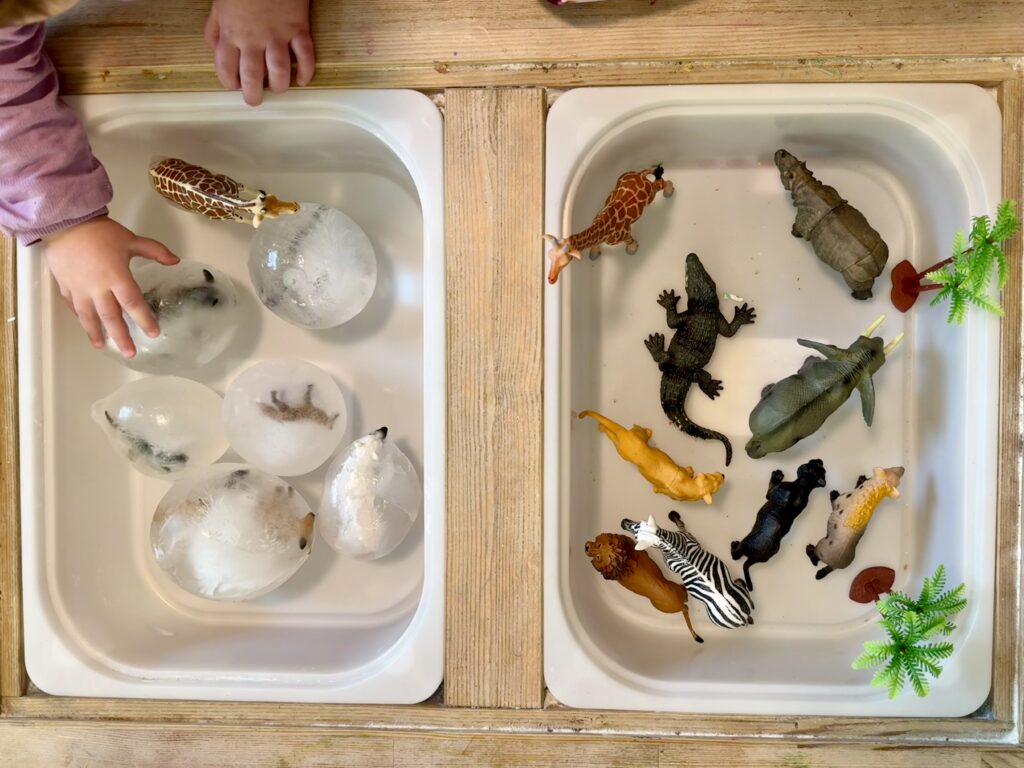 A table with two bins, one filled with plastic animals and the other filled with animals stuck inside ice, mostly spherical in shape. One child's hand reaching into the bin with ice. 