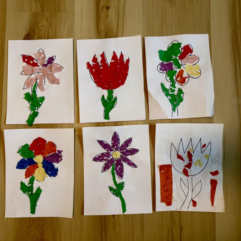 6 pieces of white paper laying in 2 rows. Flower outlines drawn on each one and torn pieces of construction paper fill the outline to create a torn paper flower.