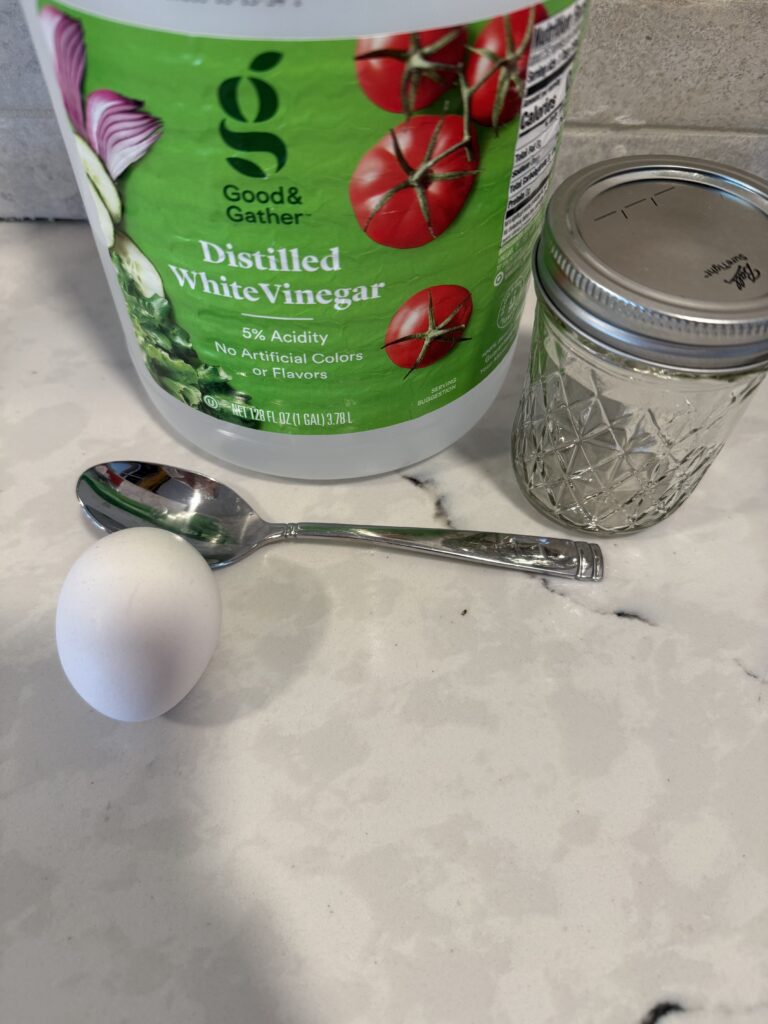 Supplies used to do an egg experiment where the egg loses it shell and is still protected by the egg membrane. Photo of vinegar, clear jar, egg, and spoon.